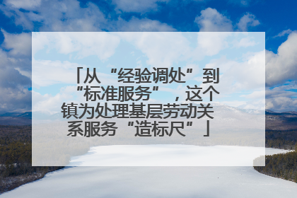 从“经验调处”到“标准服务”，这个镇为处理基层劳动关系服务“造标尺”